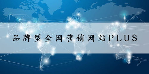 品牌型全網(wǎng)營(yíng)銷網(wǎng)站與文化經(jīng)營(yíng)資質(zhì)的共贏之路